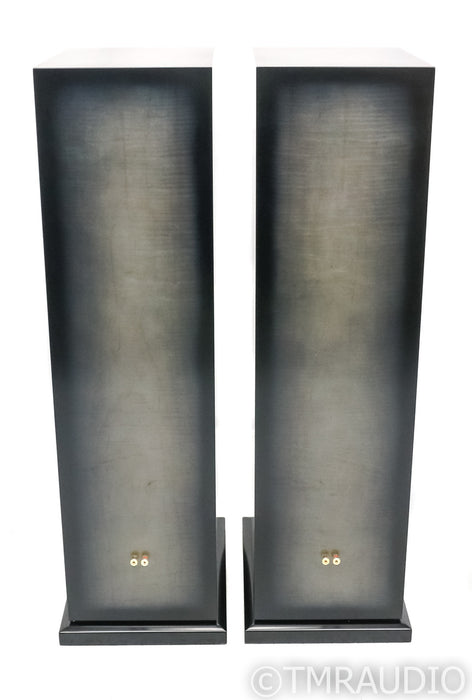 Salk Song 3 Encore Floorstanding Speakers; Pair; Curly Maple with Silver Gray Dye