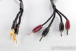 AudioQuest Comet Bi-Wire Speaker Cables; 4ft Pair; 72v DBS