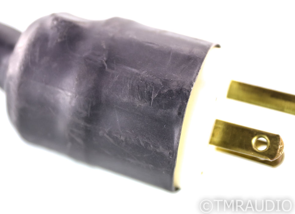 Synergistic Research A/C Master Coupler Power Cable; 8ft AC Cord; Quantum Tunnel