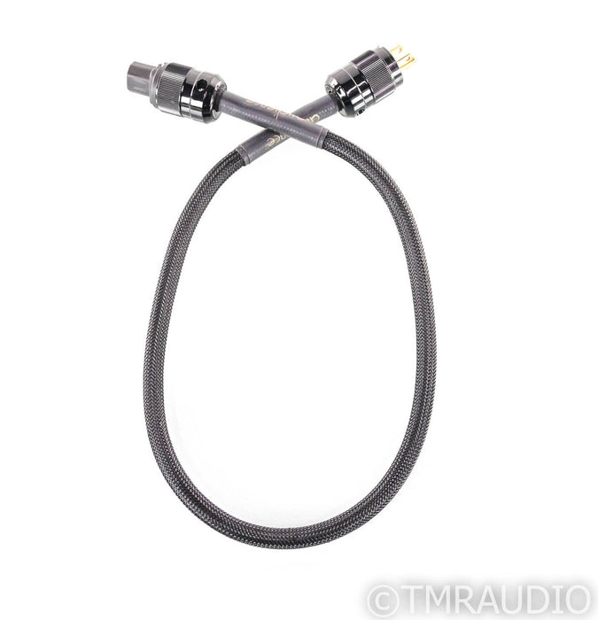Audience Power Chord E Power Cable; 3ft AC Cord