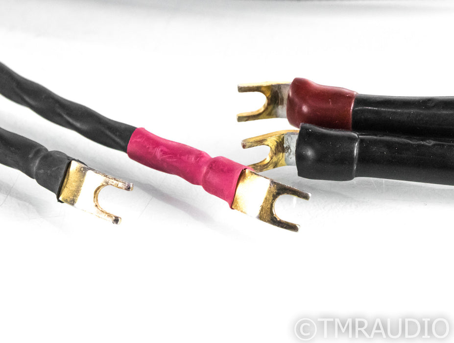 Transparent Audio MusicWave Super Speaker Cable; 10ft Pair