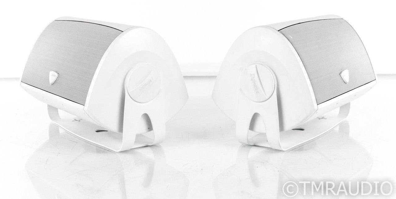 Definitive Technology AW 5500 Outdoor Speakers