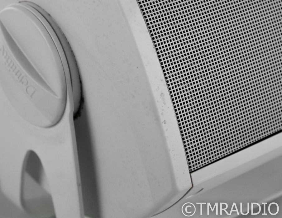 Definitive Technology AW 5500 Outdoor Speakers
