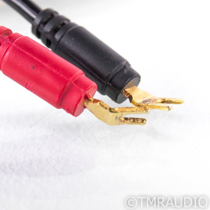 Dunlavy DAL Z-6 Speaker Cables; 9ft Pair