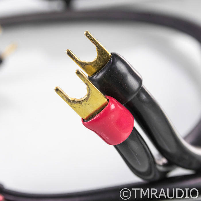 Transparent MusicWave Ultra Speaker Cables; 8ft Pair