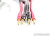 WireWorld Equinox 3+ Speaker Cables; 2m Pair; III+