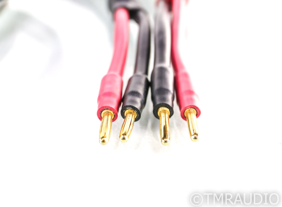 WireWorld Equinox 3+ Speaker Cables; 2m Pair; III+