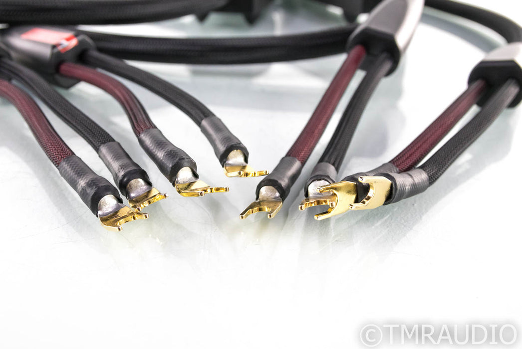 Transparent Audio Ultra Speaker Cables; Gen 5; 10ft Pair