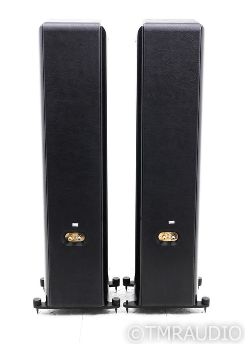 Sonus Faber Grand Piano Home Floorstanding Speakers