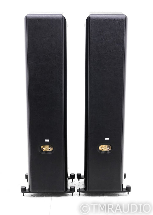 Sonus Faber Grand Piano Home Floorstanding Speakers