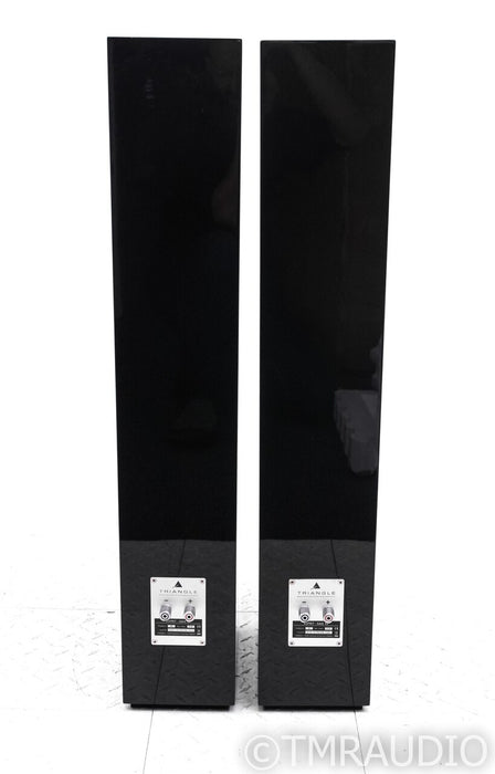 Triangle Esprit Gaia Ez Floorstanding Speakers