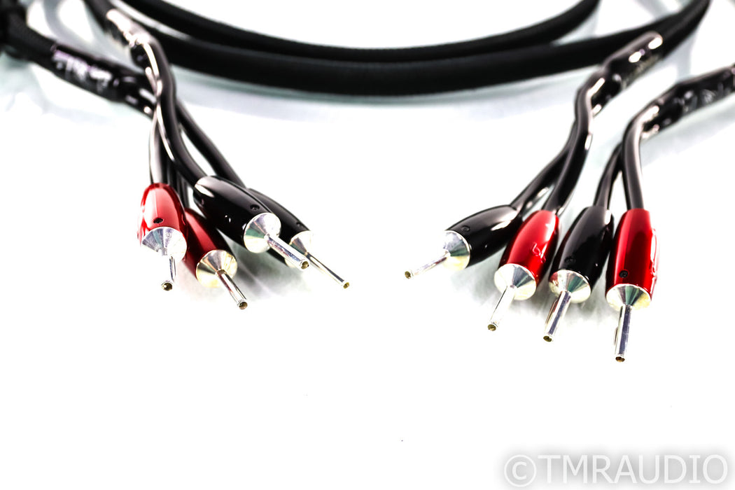 AudioQuest Rocket 88 Type 9 Speaker Cables; 8ft Pair; 72V DBS (DEMO)