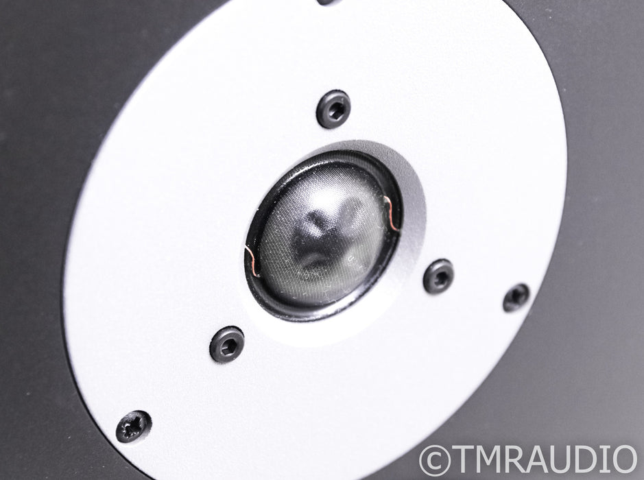 Dynaudio DM 3/7 Floorstanding Speakers