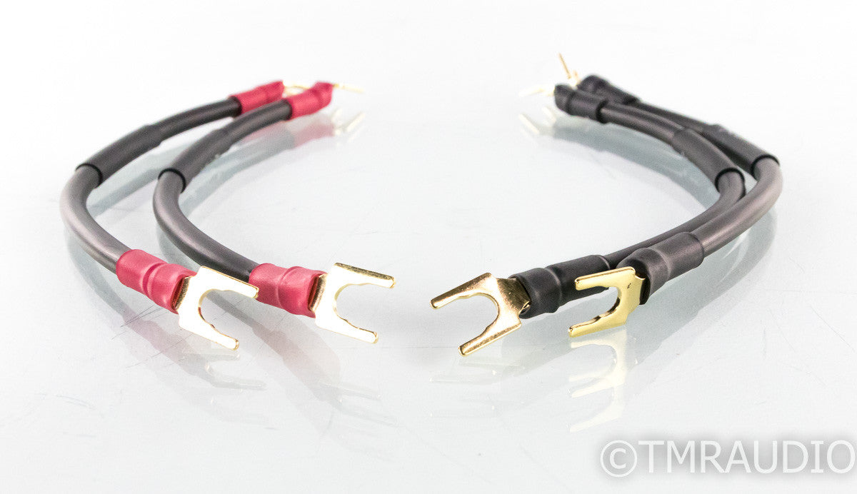 Synergistic Research IFT Jumper Cables; 8"; Set of 4