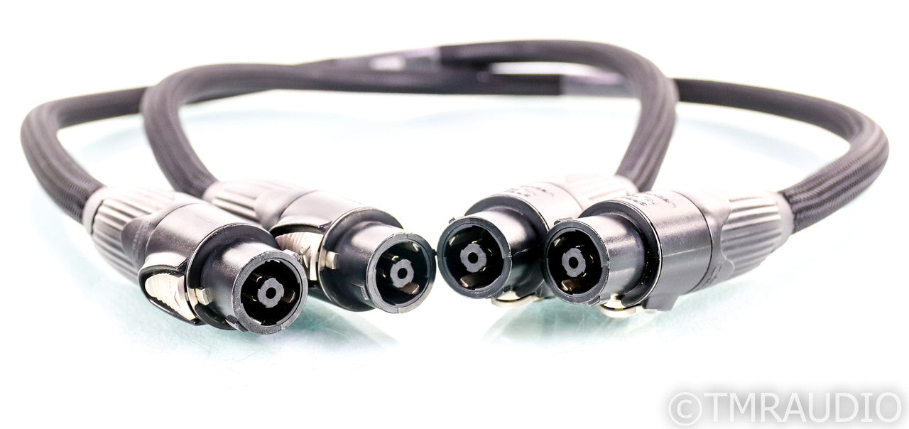 Revelation Audio Passage CryoSilver Reference Umbilical Cords; Speakon; Pass Xs