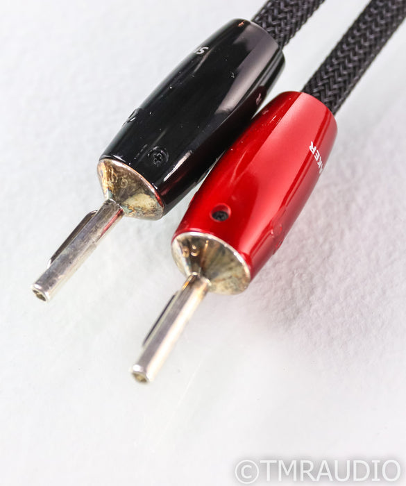 AudioQuest Robin Hood Zero Speaker Cables; 8ft Pair; 72v DBS