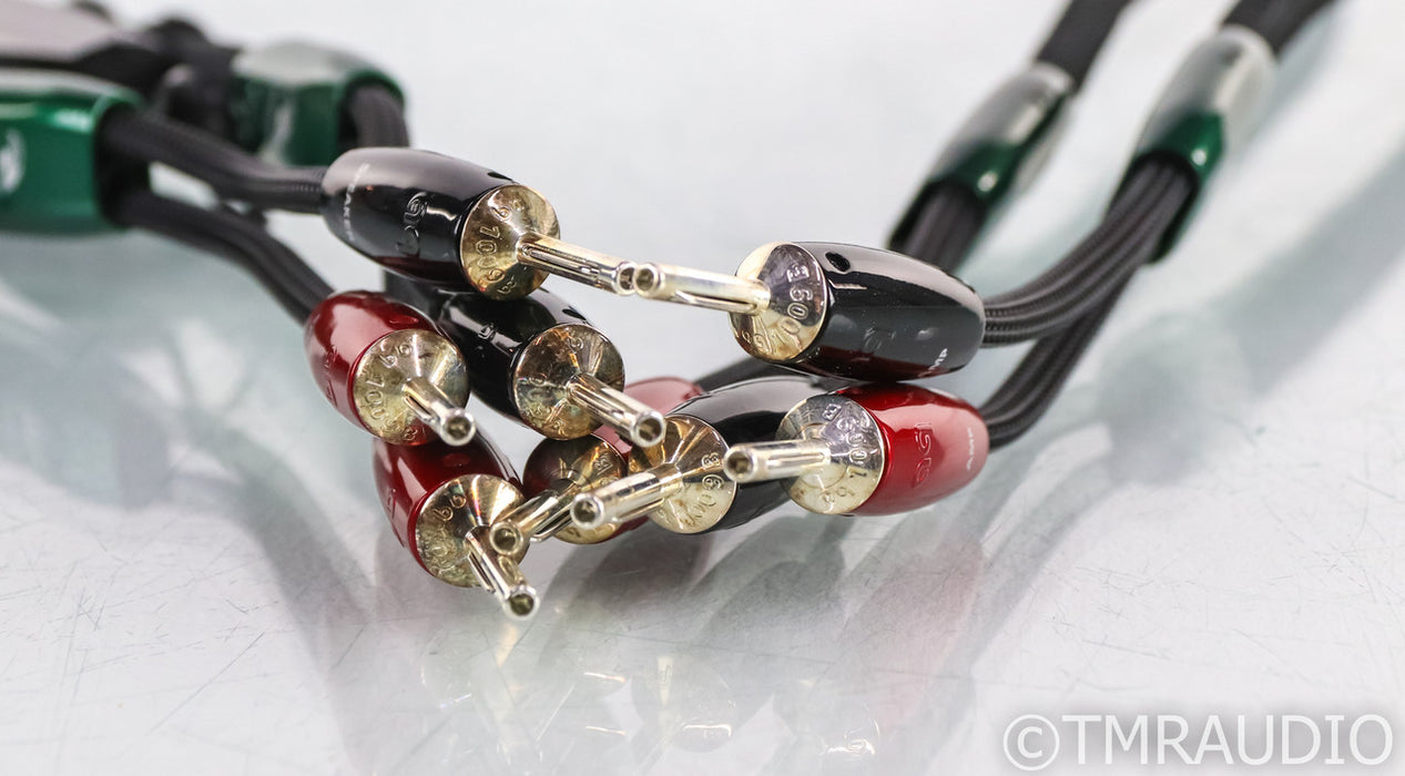 AudioQuest Robin Hood Zero Speaker Cables; 8ft Pair; 72v DBS