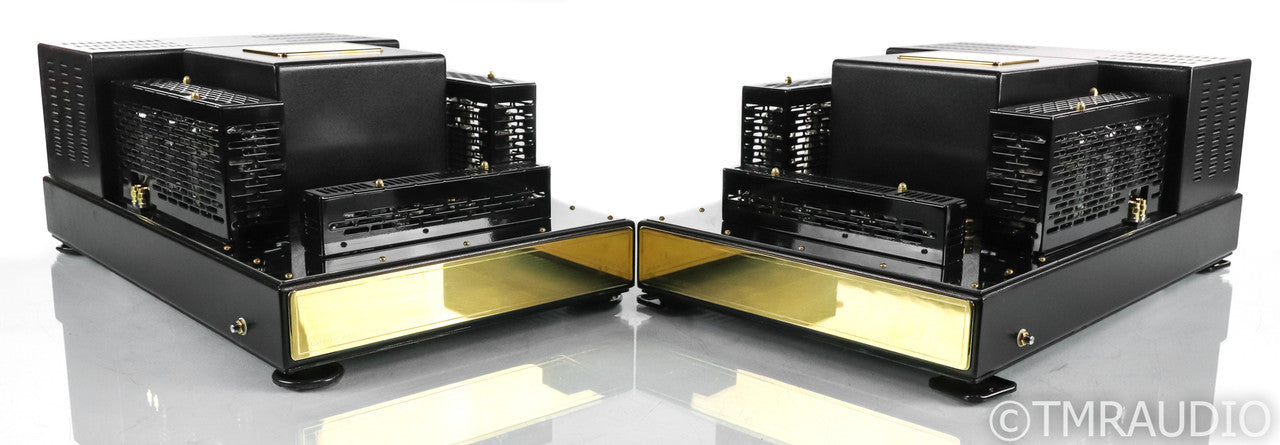 Convergent Audio Technology JL-1 Mono Tube Power Amplifier