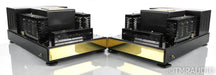 Convergent Audio Technology JL-1 Mono Tube Power Amplifier