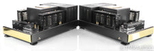Convergent Audio Technology JL-1 Mono Tube Power Amplifier