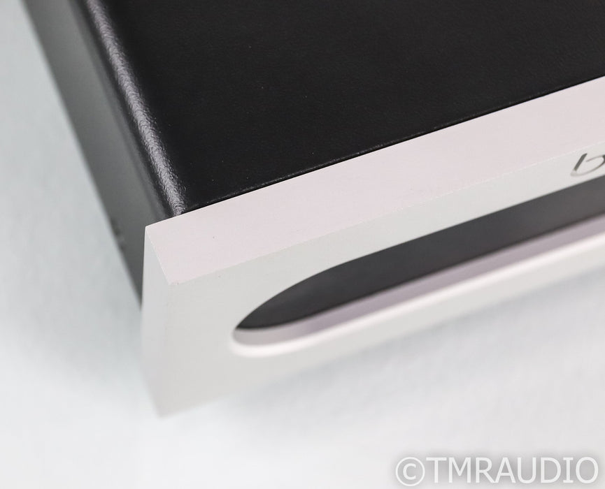 Bel Canto e.One REF1000 Mono Power Amplifier