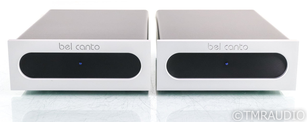Bel Canto e.One REF1000 Mono Power Amplifier