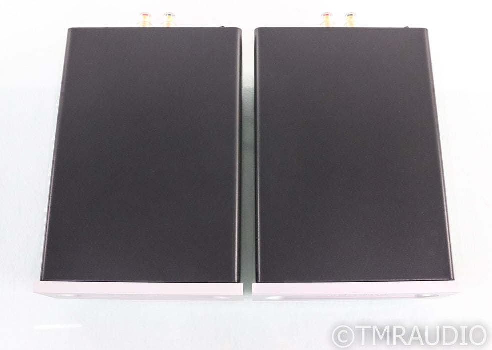Bel Canto e.One REF1000 Mono Power Amplifier