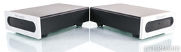 Bel Canto e.One REF1000 Mono Power Amplifier