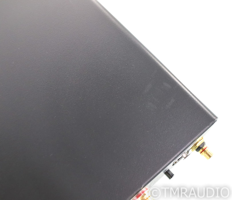 Bel Canto e.One REF1000 Mono Power Amplifier