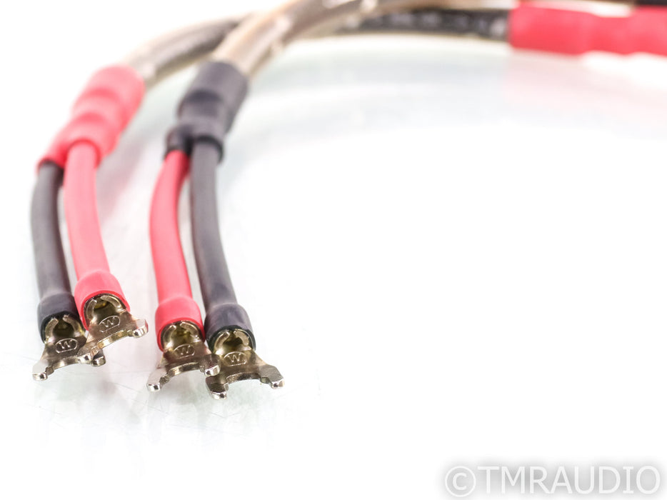 Wireworld Eclipse 5 Speaker Cables; 0.5m Pair
