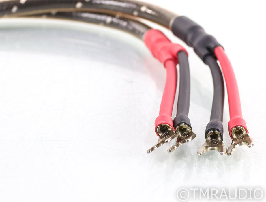 Wireworld Eclipse 5 Speaker Cables; 0.5m Pair