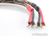 Wireworld Eclipse 5 Speaker Cables; 0.5m Pair