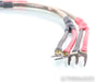 Wireworld Equinox 5 Speaker Cables; 0.5m Pair