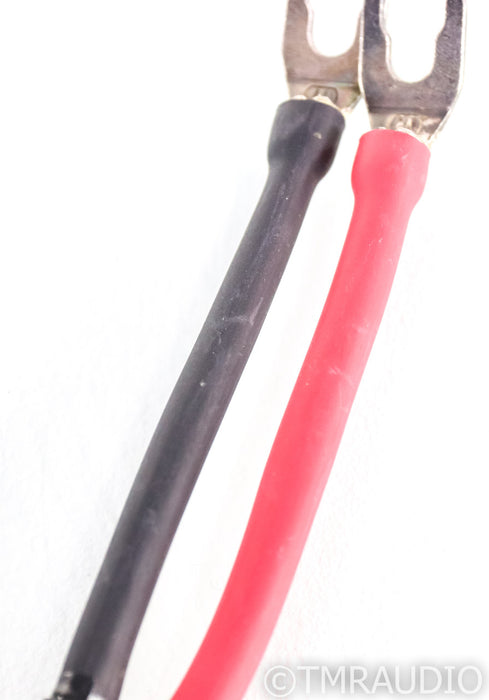 Wireworld Equinox 5 Speaker Cables; 0.5m Pair