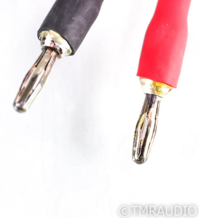 Wireworld Equinox 5 Bi-Wire Speaker Cables; 2m Pair