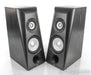 Thiel PCS Bookshelf Speakers