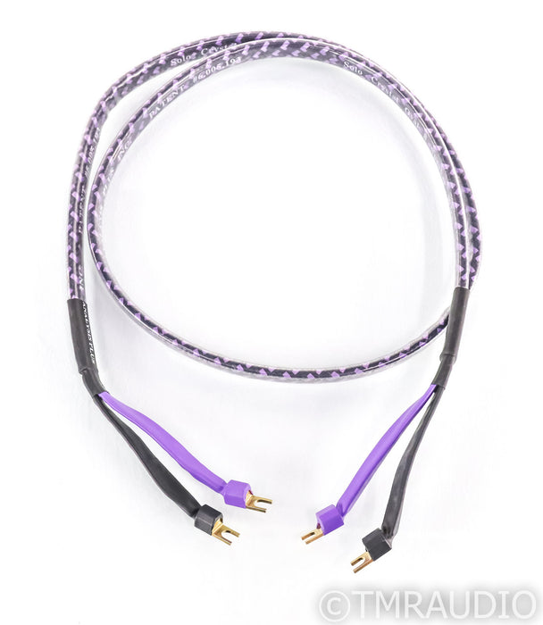 Analysis Plus Solo Crystal Oval 8 Speaker Cable; Single 6ft Cable
