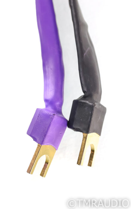 Analysis Plus Solo Crystal Oval 8 Speaker Cable; Single 6ft Cable