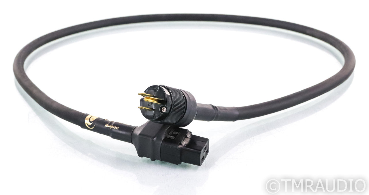 Running Springs Jaco Elite AC Power Line Conditioner; Carbon Fiber