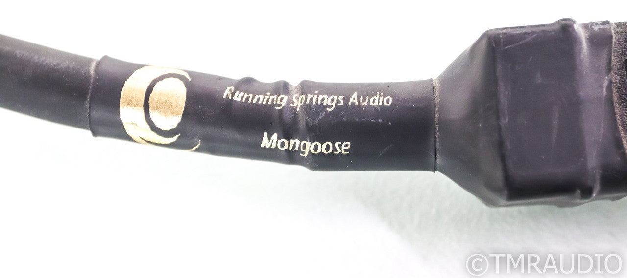 Running Springs Jaco Elite AC Power Line Conditioner; Carbon Fiber