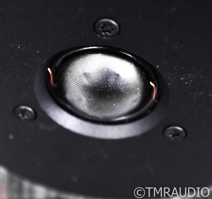 Dynaudio Focus 30 XD Active Floorstanding Speakers
