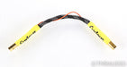 Curious Cables Regen Link USB Cable; 8in Digital Interconnect