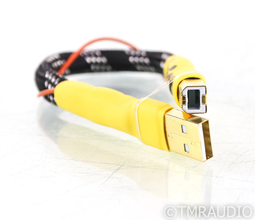 Curious Cables Regen Link USB Cable; 8in Digital Interconnect