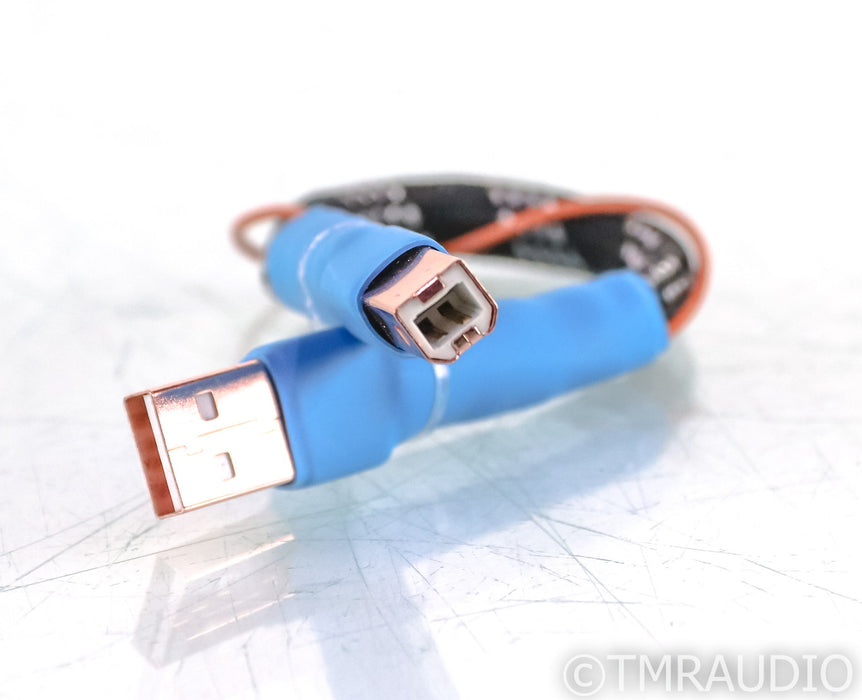 Curious Cables Evolved Regen Link USB Cable; 8in Digital Interconnect