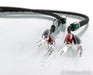 AudioQuest Robin Hood Zero Speaker Cables; 6ft Pair; 72v (Open Box w/ Warranty)