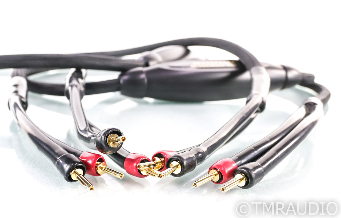 Transparent Audio MusicWave Super MM Speaker Cables; 3m Pair