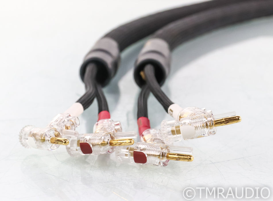 Kimber Kable Monocle X Speaker Cables; 6ft Pair; WBT-0610 CU Terminations