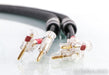 Kimber Kable Monocle X Speaker Cables; 6ft Pair; WBT-0610 CU Terminations
