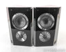 SVS Ultra Surround Speakers