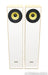 Gradient 6.0 Floorstanding Speakers
